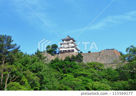 [香川縣]從北側的內護城河看到的五月天氣的丸龜城（現存天守閣和石牆的名城） 115569177