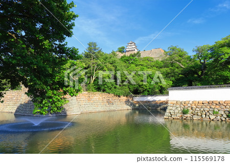 [香川縣]從北側的內護城河看到的五月天氣的丸龜城（現存天守閣和石牆的名城） 115569178