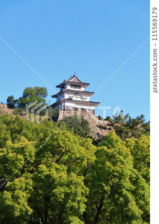 [香川縣]從北側的內護城河看到的五月天氣的丸龜城（現存天守閣和石牆的名城） 115569179