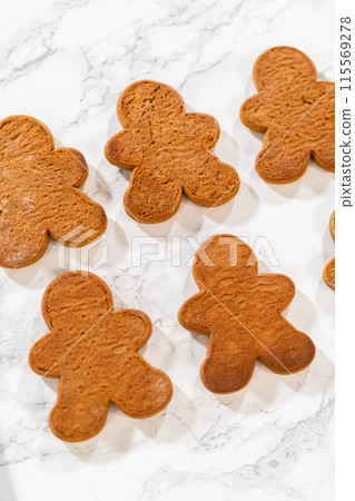 Gingerbread cookies await their second halves on a marble surface, each meticulously piped with buttercream to craft delightful sandwich treats. The precision of the piping adds a festive touch. 115569278