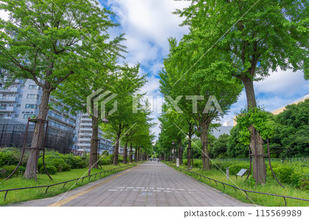 光丘公園接觸之道 115569989