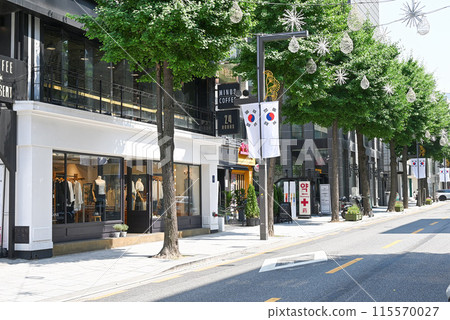 新沙洞樹街（林蔭樹路）[首爾/江南區] 115570027