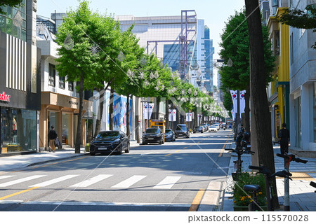 Sinsa-dong Street of Trees (Garoskill) [Seoul/Gangnam-gu] 115570028
