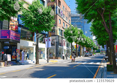 Sinsa-dong Street of Trees (Garoskill) [Seoul/Gangnam-gu] 115570029