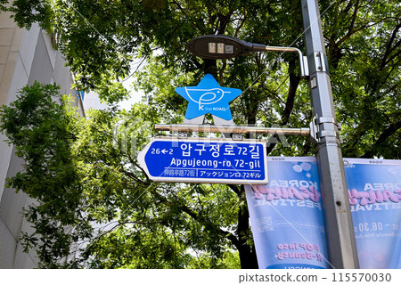 韓流星街招牌與狎鷗亭路道路標誌 [首爾/江南區] 115570030