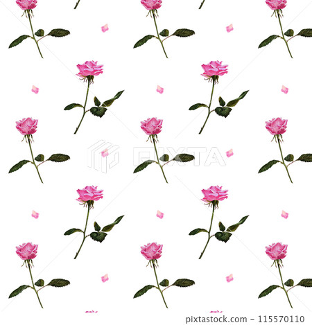 Seamless pattern with roses and leaves. Floral pattern for wallpaper or fabric. 115570110