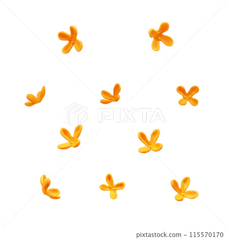 Sweet osmanthus illustration realistic white background 115570170