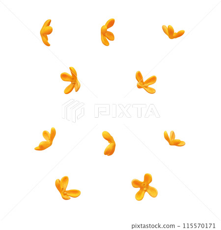 Sweet osmanthus illustration realistic white background 115570171