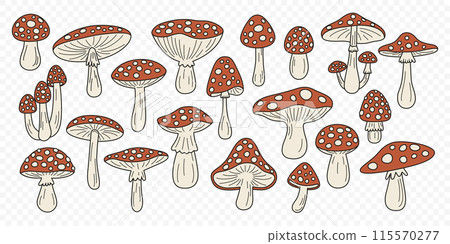 Flat Vector Hand Drawn Cartoon Fly Agaric Mushrooms. Amanita Muscaria, Fly Agaric Illustration, Mushrooms. Magic Mushroom Icons, Design Template 115570277