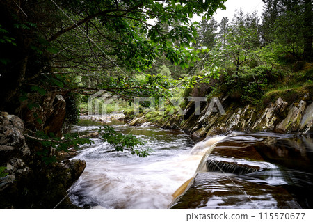 Ireland highland river, waterfall, tree 115570677