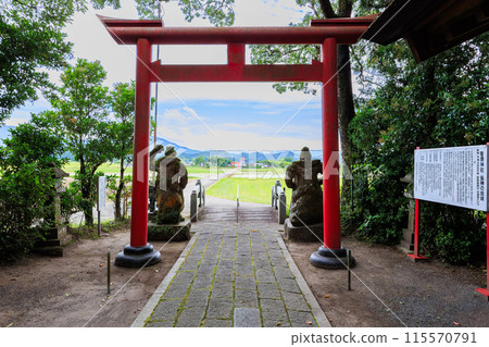 Sugawara Shrine (Suiryu Tenmangu Shrine) A shrine with a torii gate in the rice fields of Ebino City, Miyazaki Prefecture 115570791