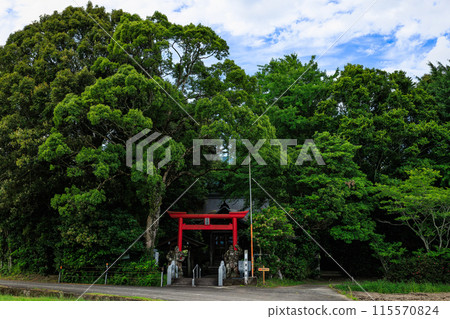Sugawara Shrine (Suiryu Tenmangu Shrine) A shrine with a torii gate in the rice fields of Ebino City, Miyazaki Prefecture Sugawara Shrine (Suiryu Tenmangu Shrine) A shrine with a torii gate in the rice fields of Ebino City, Miyazaki Prefecture 115570824