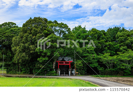 菅原神社(水龍天滿宮)位於宮崎縣蝦野市的稻田裡,有鳥居的神社 菅原神社(水龍天滿宮)位於宮崎縣蝦野市的稻田裡,有鳥居的神社 115570842