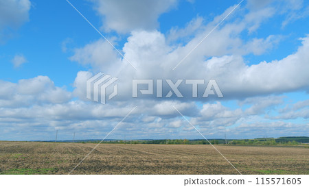 Agricultural field with harvested wheat and straw. Details of a stubble field after harvesting wheat and straw. Timelapse. 115571605