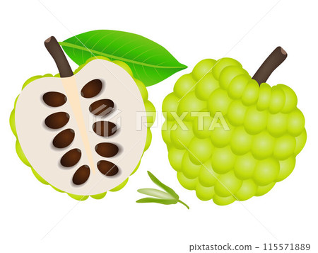 Whole sugar apple and half with a flower on a white background. Whole sugar apple and half with a flower on a white background. 115571889