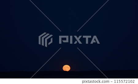 Full glowing yellow moon. Werewolf moon and dark night sky. Halloween. Timelapse. 115572102