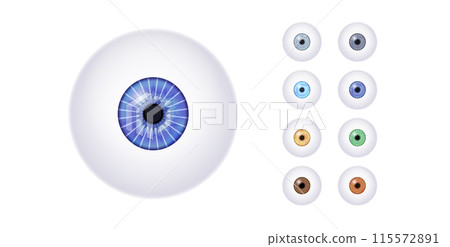 Iris medical poster 115572891
