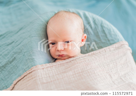 The baby is sleeping peacefully in his cozy nest. Newborn photo session captures the serene innocence and warmth of early moments 115572971