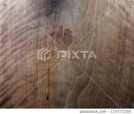 Concept. Close-up wooden cut texture. Beautiful wooden background. Concept. Close-up wooden cut texture. Beautiful wooden background. 115573208
