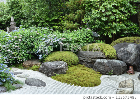 靈泉院 鶴卷空吾 115573485