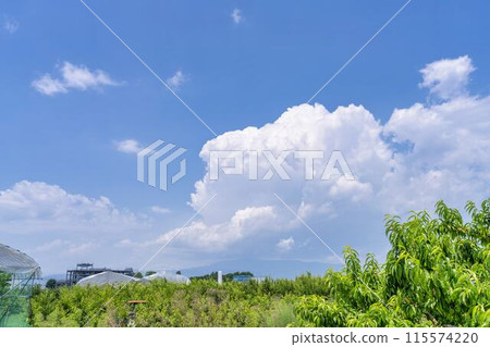 山形縣東根市積雨雲開始生長 115574220