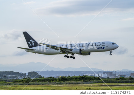 Sendai Airport at dusk, airplane landing, Natori City, Miyagi Prefecture 115574271