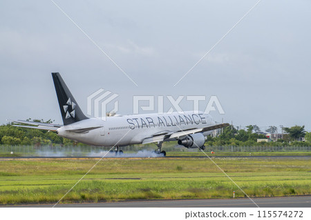 Sendai Airport at dusk, airplane landing, Natori City, Miyagi Prefecture 115574272