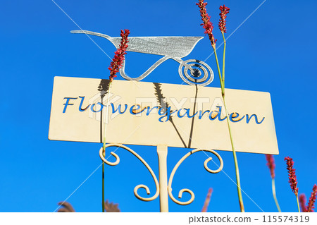 園藝/花園盤和 Persicaria 花 115574319