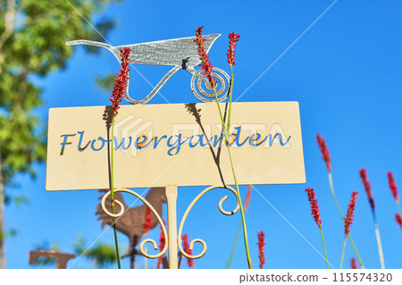 園藝/花園盤和 Persicaria 花 115574320