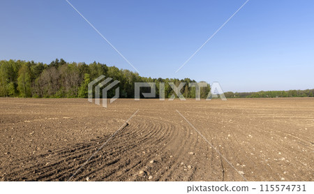 preparing the soil for sowing in spring preparing the soil for sowing in spring 115574731