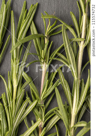 green fresh rosemary is a spice in cooking green fresh rosemary is a spice in cooking 115574732