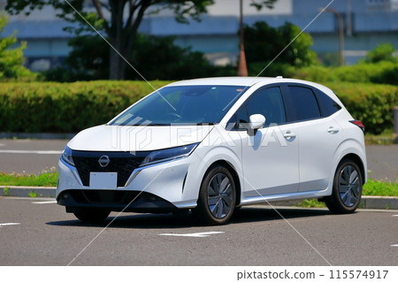 國產電動車形象 115574917