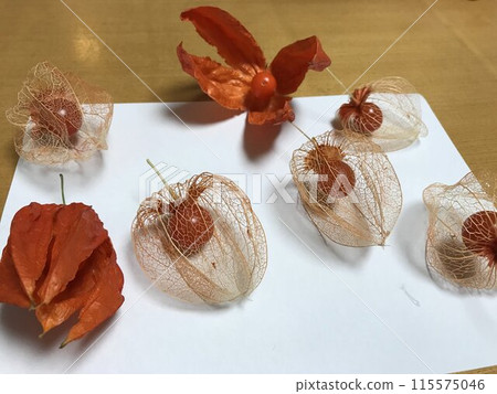 水印Honokuki 水印Honokuki 115575046