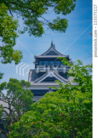 Kumamoto Castle as seen from Ninomaru Parking Lot 115575117