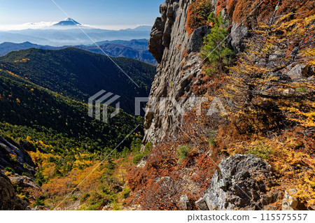 Autumn foliage along the Kinpu Mountain Ridge and a view of Mt. Fuji 115575557