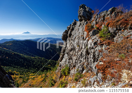 金峰山山脊線的秋葉和富士山的景色 115575558