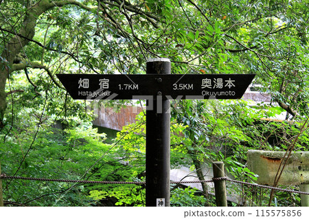 箱根古道路線指南 箱根古道路線指南 115575856