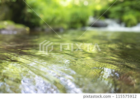 Fresh greenery reflected in the forest stream: Kitanizawa mountain stream 115575912