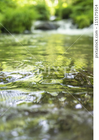 木澤溪流映照在森林溪流中的新綠 木澤溪流映照在森林溪流中的新綠 115575914