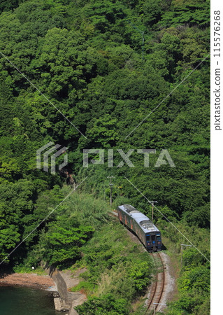 The new YC1 series diesel railcar runs leisurely on the old Nagasaki Main Line with a spectacular view_Photo taken on May 19, 2024 The new YC1 series diesel railcar runs leisurely on the old Nagasaki Main Line with a spectacular view_Photo taken on May 19, 2024 115576268