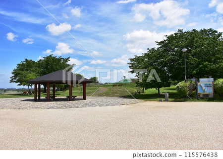 海老名市神奈川縣相模三河公園步道和涼亭 115576438