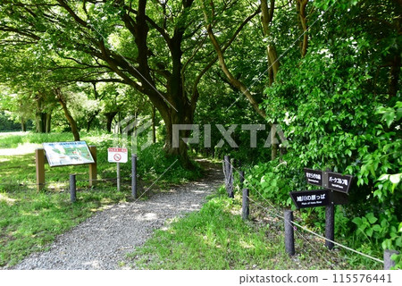 Ebina City, Kanagawa Prefectural Sagamisansen Park Seseragi no Mori (Nature Observation Garden) Entrance 115576441
