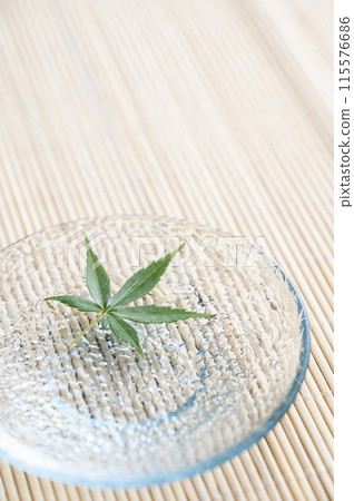 漂浮在水面上的藍楓 115576686