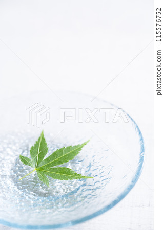 Blue maple floating on the water Blue maple floating on the water 115576752