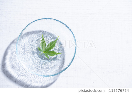 漂浮在水面上的藍楓 115576754