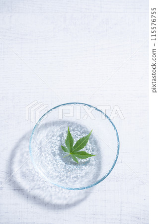 漂浮在水面上的藍楓 115576755