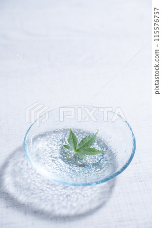 漂浮在水面上的藍楓 115576757