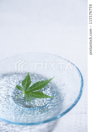 漂浮在水面上的藍楓 漂浮在水面上的藍楓 115576759