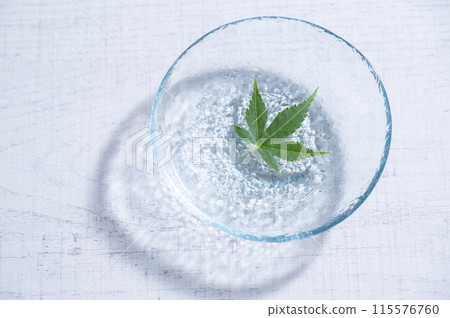 漂浮在水面上的藍楓 115576760