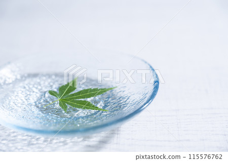 漂浮在水面上的藍楓 漂浮在水面上的藍楓 115576762